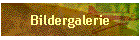 Bildergalerie