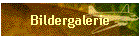 Bildergalerie